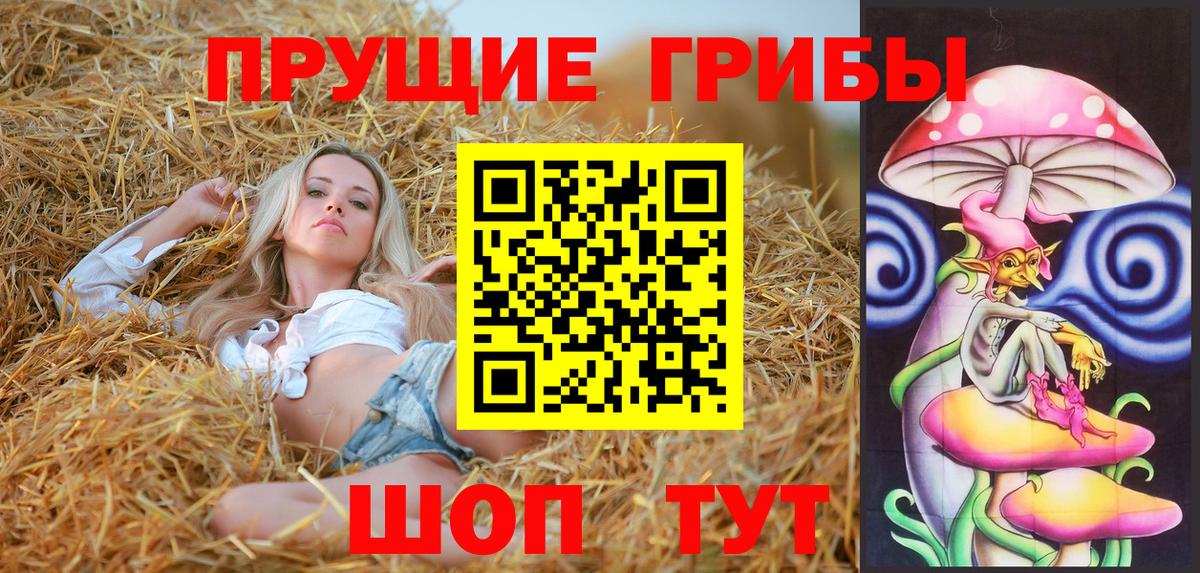 Новодвинск  Галлюциногенные грибы Magic Shrooms  Вход с VPN 