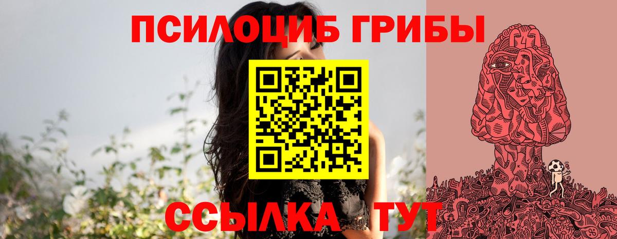 Псилоцибиновые грибы мицелий Новодвинск